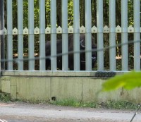 Una barriera contro la natura selvaggia